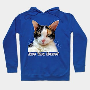 Cute Calico Cat with Attitude – Are You Sure! Hoodie